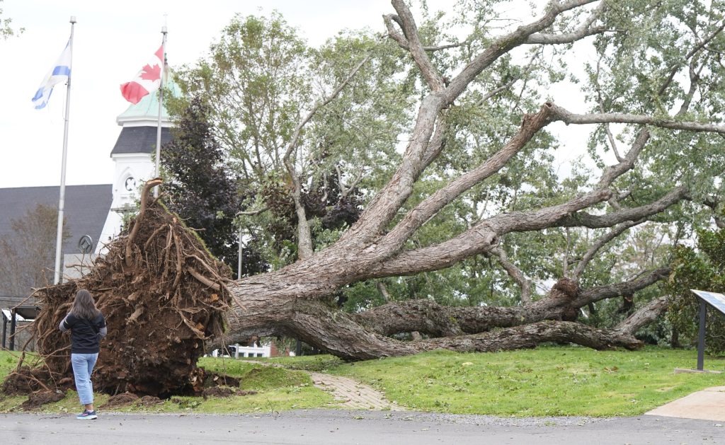Hurricane Lee in Lunenburg, Nova Scotia.